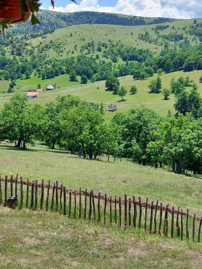 Apartament Iva Zlatibor Zewnętrze zdjęcie